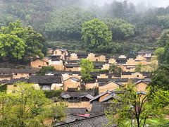 -杨家堂村