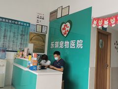 -乐琪宠物医院·犬猫专科·骨外科·急重症