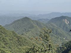 -栾川竹海野生动物园
