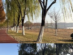 -滨湖塘西河公园
