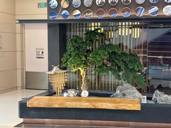 -温野菜涮涮锅(万象城店)