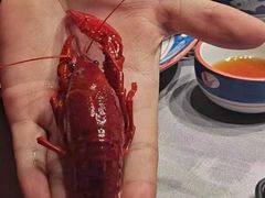 -玖味(老工人西路店)