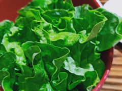 -庄老幺火锅(娄山关路店)