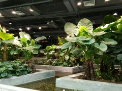 -北国商城