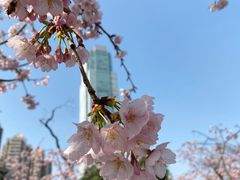 -静安雕塑公园