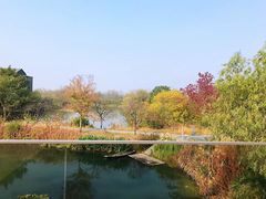 -木守西溪溪隐餐厅