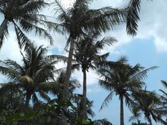 景点-白沙湾海滩