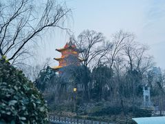 -迎泽公园