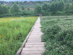 -洨河生态公园