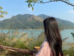 -羚羊峡古栈道森林公园