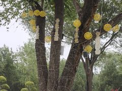 -绿堤公园