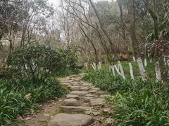 -杭州半山国家森林公园