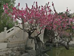 -团结湖公园