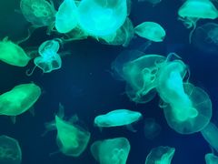 -成都浩海立方海洋公园