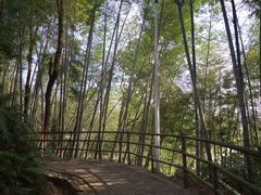 -梁野山景区