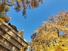 -北京石刻艺术博物馆(五塔寺)