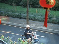 -Line 咖啡(石厦花园店)