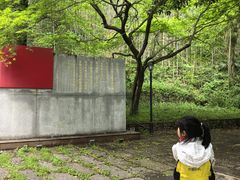-莫干山风景区