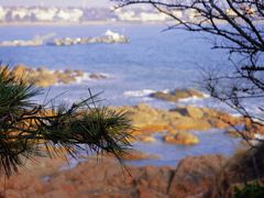 -青岛海滨风景区-鲁迅公园