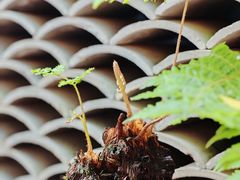 -福建省非物质文化遗产博览苑