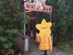 -五营国家森林公园