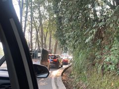 -缙云山景区