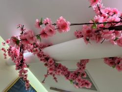 -玛妮雅科技纤体美容