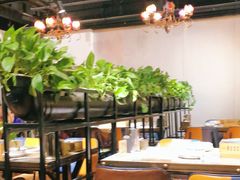 大堂-十六中酱肉·烧烤·京菜小馆(五方桥旗舰店)