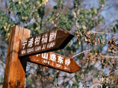 -青龙山国家森林公园