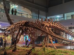 -自贡恐龙博物馆