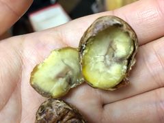 -鑫鑫栗王(吉祥商城店)