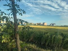 -万达广场(临港店)