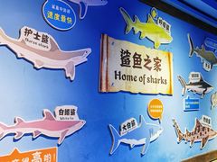 -重庆欢乐海底世界