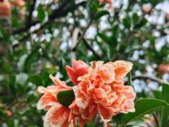 -云南滇池花园国际大酒店温泉