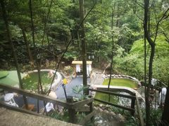 -花水湾第一村温泉大酒店