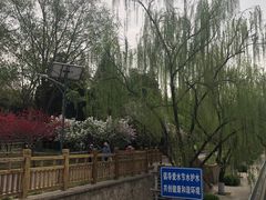 -元大都城垣遗址公园