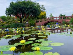 -广州莲花山旅游区