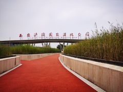 -西安浐灞国家湿地公园