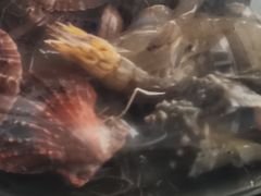 -大锅强·蒸海鲜青岛菜(吾悦广场店)