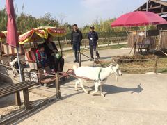 -无锡动物园·太湖欢乐园