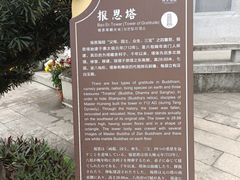 -国恩寺