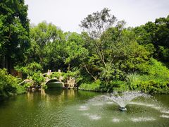 -上海醉白池公园