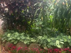 -海南热带野生动植物园