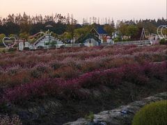 -嘉北郊野公园