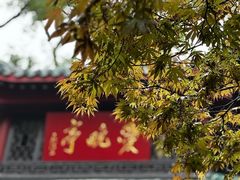 -岳麓山风景名胜区