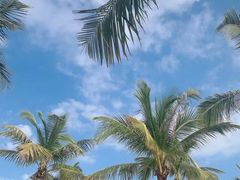 -三亚南山文化旅游区