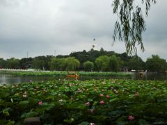 -大明眼镜(延庆1店)