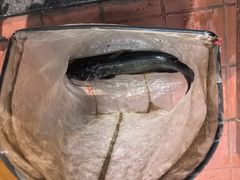 -生态苑农庄(十里画廊遇龙河店)