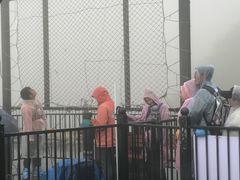 -梦幻奥陶纪景区