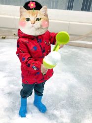 -Mr·Kuma酷么先生雪之乐园